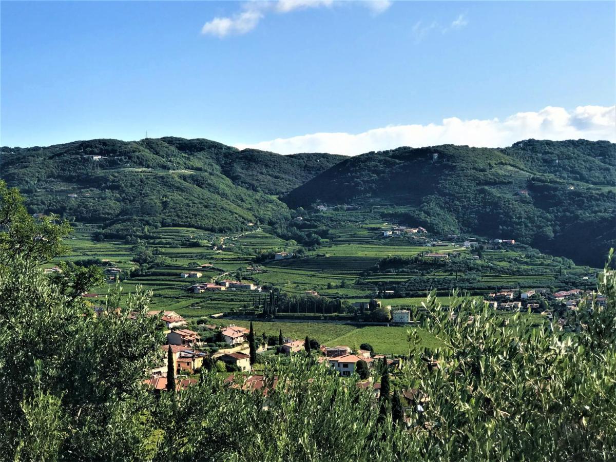 Valpolicella Hills Apartment Negrar Luaran gambar