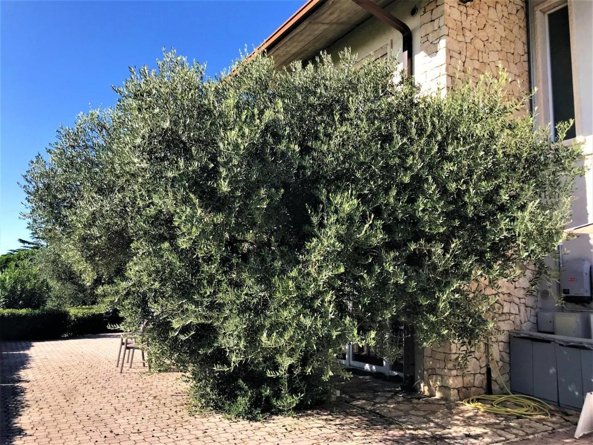 Valpolicella Hills Apartment Negrar Luaran gambar