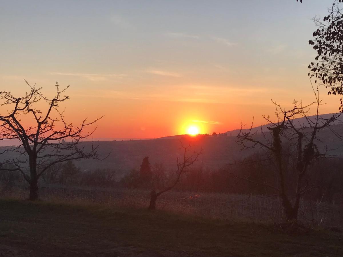 Valpolicella Hills Apartment Negrar Luaran gambar