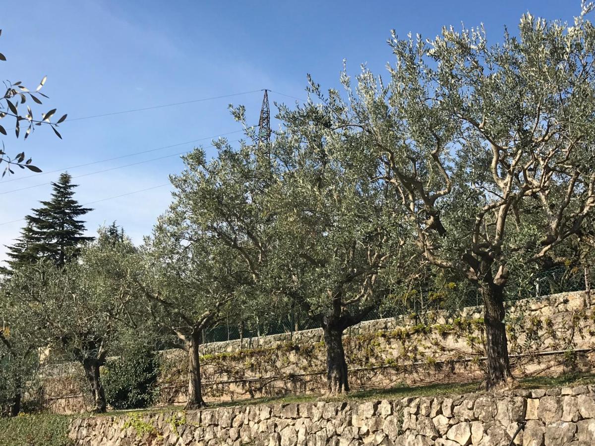 Valpolicella Hills Apartment Negrar Luaran gambar